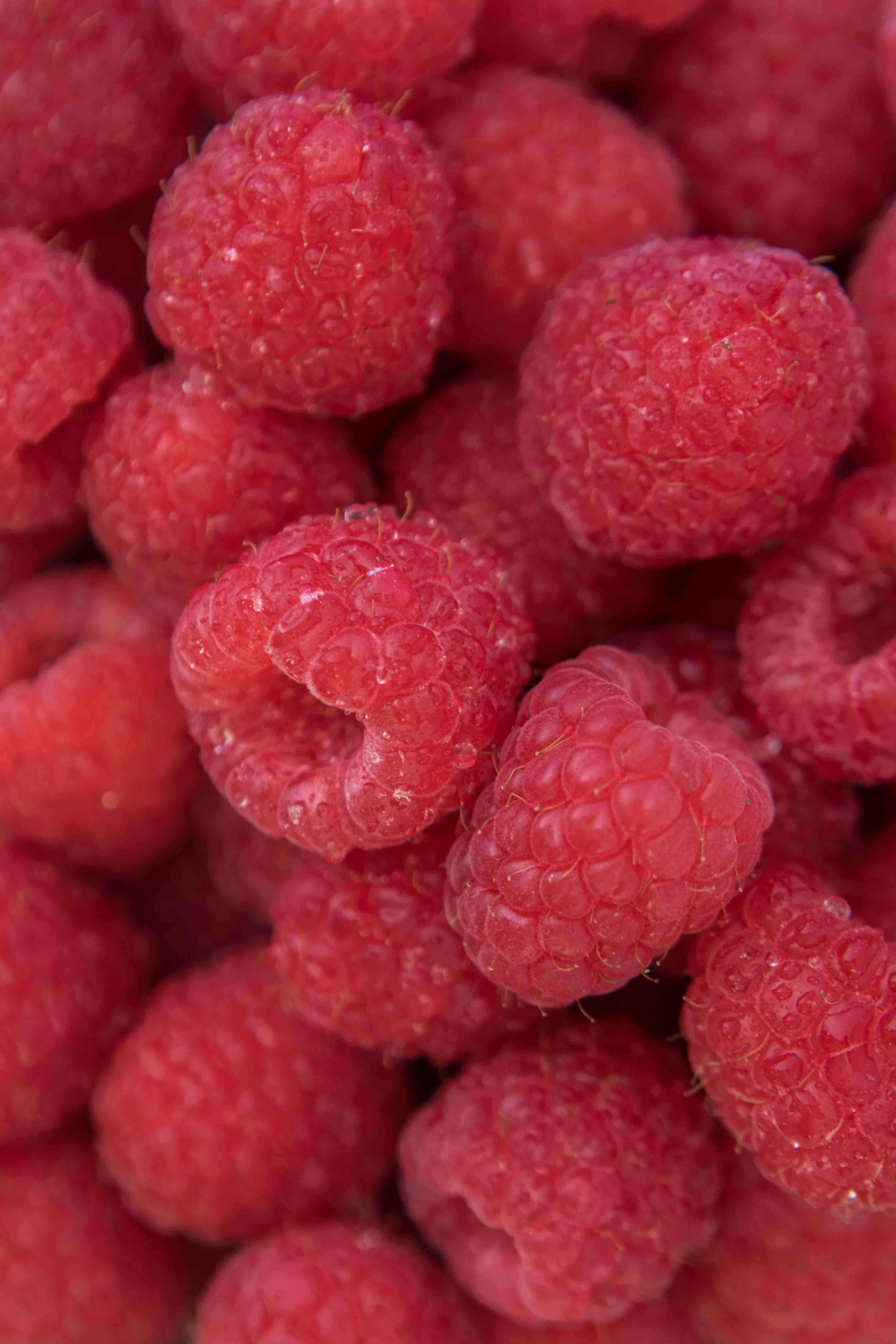 Gros plan sur les framboises