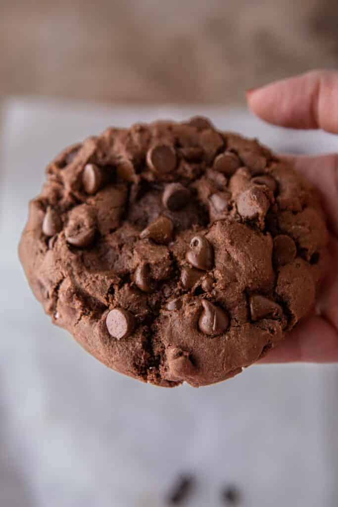 Main tenant un cookie double chocolat en portion individuelle